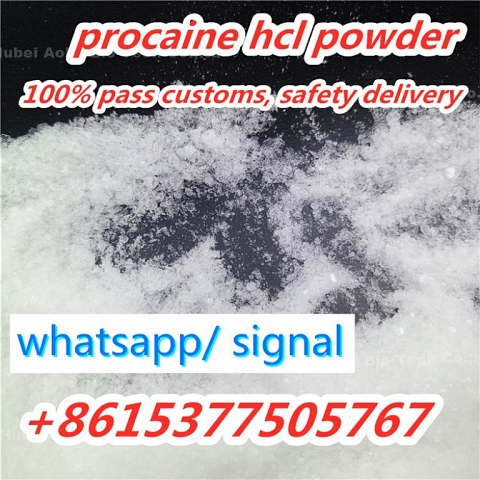 Procaine hcl powder 51-05-8 procaine hydrochloride