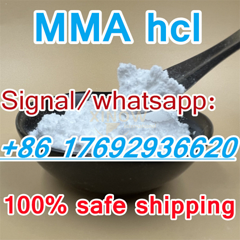 Manufactory supply MMA hcl,Methylamine hcl,593-51-1 Methylamine hydrochloride 99% purity