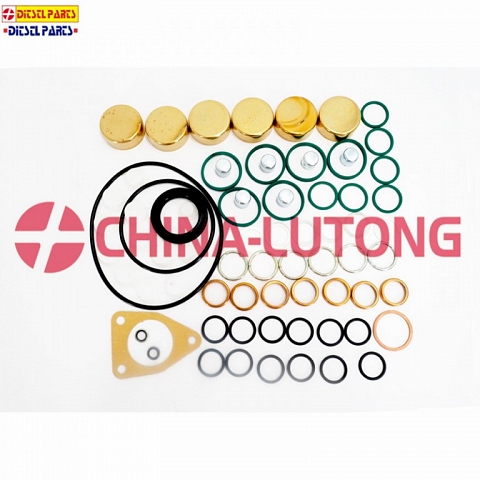 Pump Repair kits 2 417 010 010 Gasket kit And Rebuild Kit 800019 Overhaul Kit