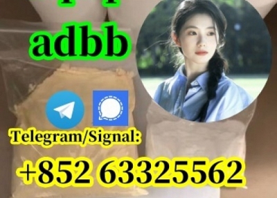 China Chemical Manufacturer 5cladba adbb precursor powder