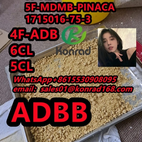 5F-MDMB-PINACA  CAS:1715016-75-3