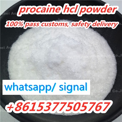 High Quality Procaine hcl Powder cas 51-05-8 Best Price Safe Delivery China Supplier 