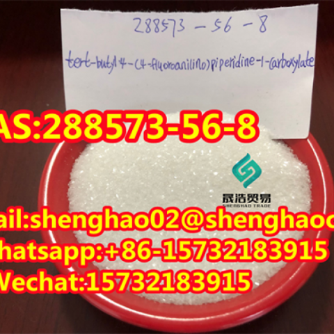 Hot Sale Tert-Butyl 4- (4-fluoroanilino) CAS: 288573-56-8 with Best Price 99.9% white powder