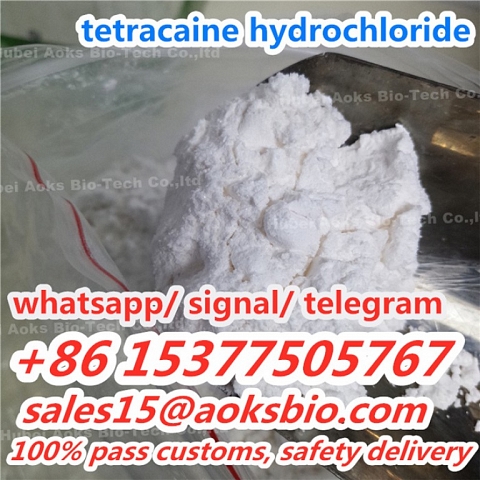 Cas 136-47-0 factory Tetracaine hydrochloride,tetracaine hcl powder favorable price safe delivery