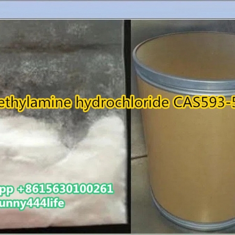 Methylamine hydrochloride CAS593-51-1 with best price 