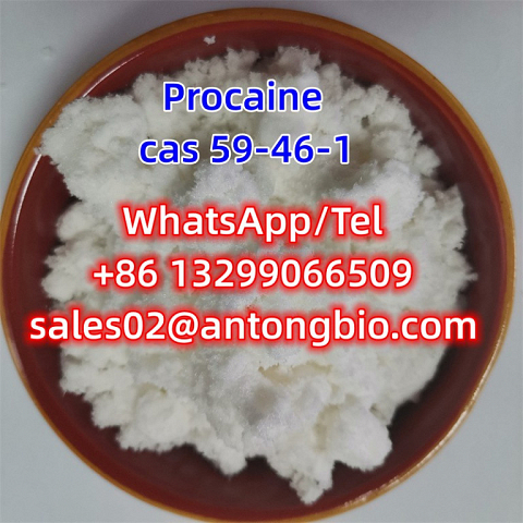 Procaine hcl CAS 59-46-1 C13H20N2O2