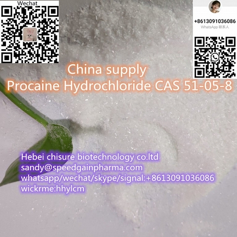 China supply Procaine CAS 59-46-1 /Procaine Hydrochloride CAS 51-05-8 ,whatsapp:+8613091036086