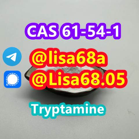 CAS 61-54-1 Tryptamine C10H12N2