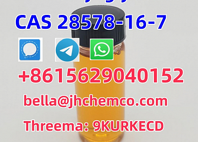 Best Price CAS 28578-16-7 PMK ethyl glycidate (PMK powder&oil)