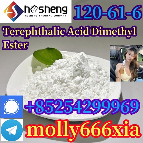 120-61-6 Terephthalic Acid Dimethyl Ester