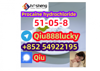 51-05-8 Procaine hydrochloride