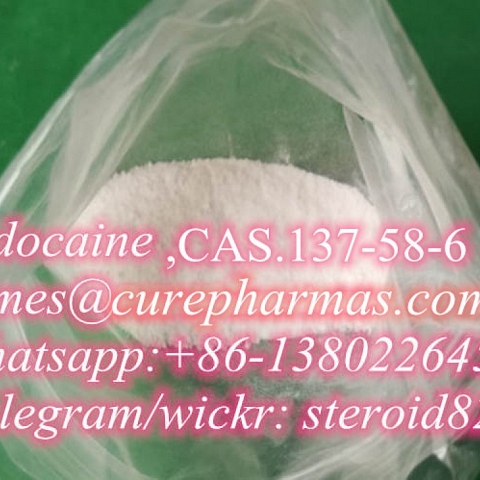 Lidocaine Anti-pain Pharmaceutical Material Xylocaine CAS 137-58-6 Lidocaine Hcl Local Anesthetic 