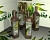 100% SPANISH OLIVE OIL