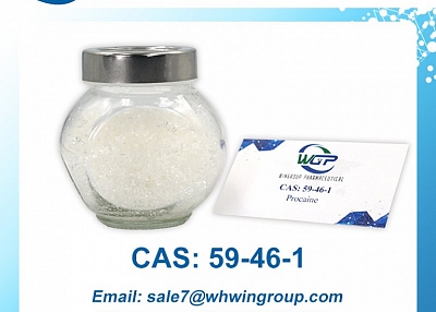 Procaine CAS 59-46-1