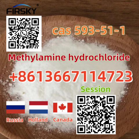 Cas 593-51-1 Methylamine hydrochloride Threema: SFTJNCW5 whatsapp +8613667114723