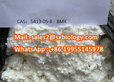 High Purity Pharmaceutical Intermediates 2-Phenylacetoacetate CAS 5413-05-8