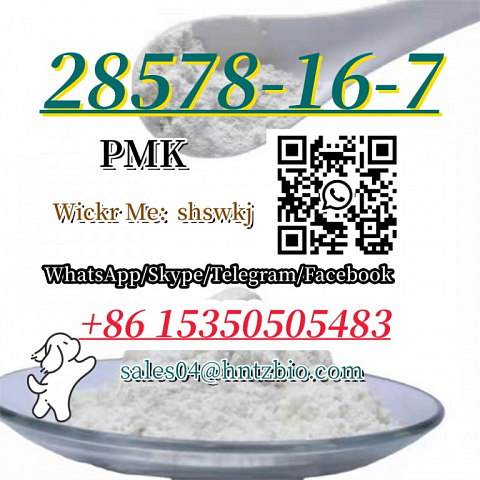 28578-16-7    PMK   , ethyl glycidate