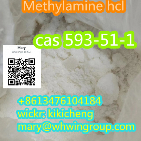 Safe shipping Methylamine hydrochloride 593-51-1 +86-13476104184  