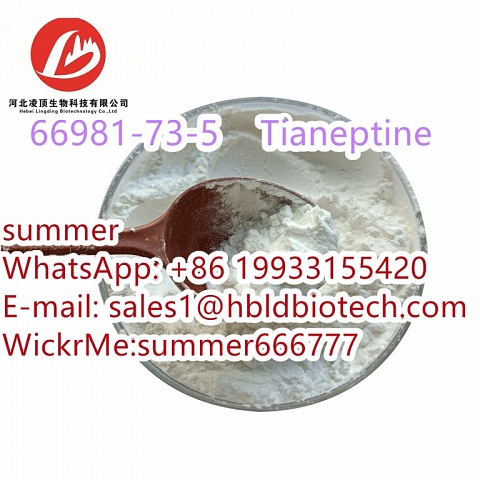 The antidepressant drug Tianeptine CAS:66981-73-5