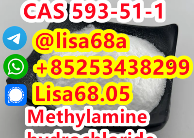 CAS 593-51-1 Methylamine hydrochloride CH5N.ClH