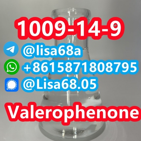 CAS 1009-14-9 Valerophenone C11H14O