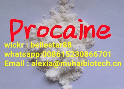 Procaine /Procaine Hydrochloride Wickrme:bellestar88