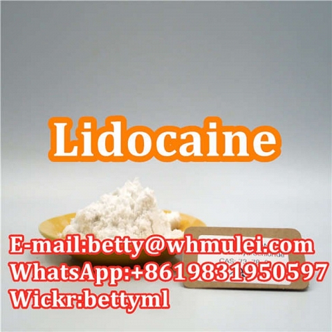 Cas:137-58-6 factory lidocaine,lidocaine powder favorable price safe delivery