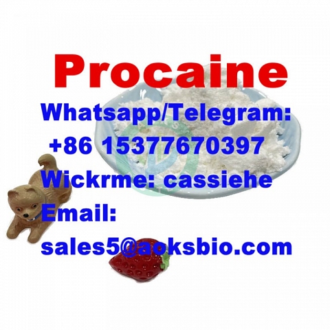 Procaine Hydrochloride CAS 51-05-8