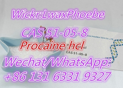 Buy Procaine HCl Powder CAS 51-05-8 Procaine  China Supplier Door to Door Delivery