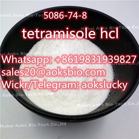 Tetramisole Hydrochloride Powder CAS 5086-74-8 with Best Price