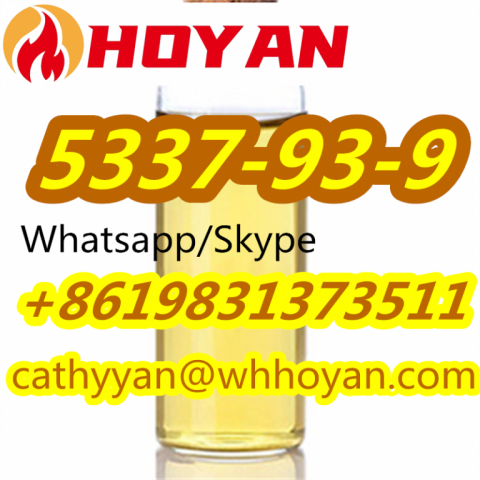 Low Price 5337-93-9 4'-Methylpropiophenone CAS 5337-93-9 with Good Feedback