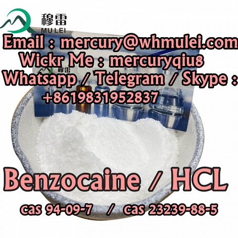  benzocaine purity benzocaine hcl  benzocaine hcl powder  Benzocaine Hydrochloride powder 