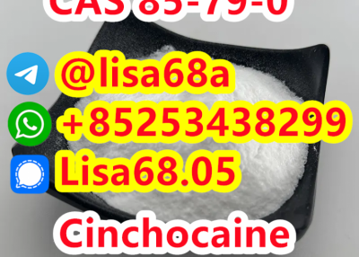 CAS 85-79-0 Cinchocaine C20H29N3O2