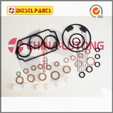 common rail injector repair kits Z 146600-1120 B 9 461 610 423 Fl 800600 for Ve Pump Parts Replace