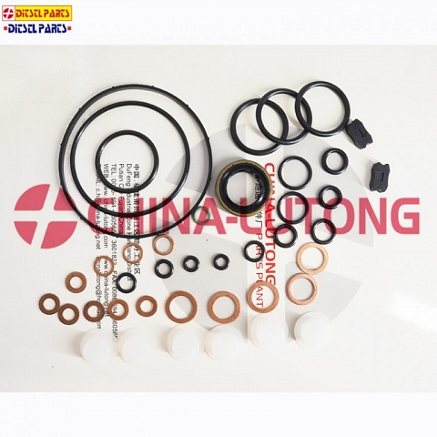 bosch diesel pump repair-case injection pump rebuild kit 1 417 010 003/800006 for JMC