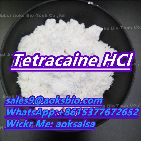 Tetracaine hcl powder cas 