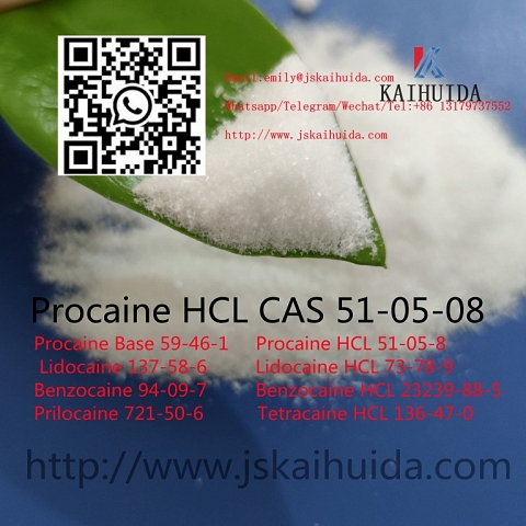 Procaine BaseCAS59-46-1