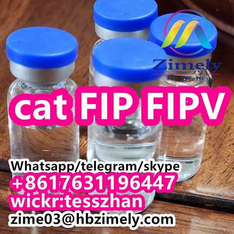  cat FIP FIPV,CAS 1191237-69-0,GS-441524