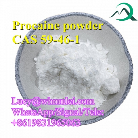 Procaine Powder CAS 59-46-1 Procaine Base Hydrocarbon Halide Popular in Australia USA Mexico