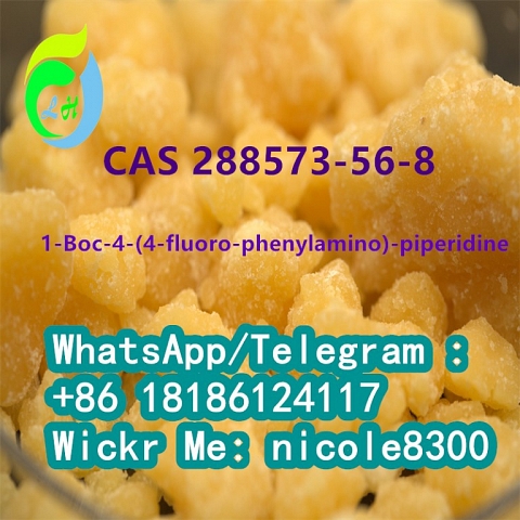 2-Oxiranecarboxylicacid 99% White powder CAS 28578-16-7 in stock