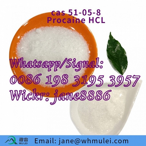 Procaine HCL