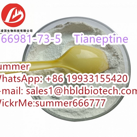 The antidepressant drug Tianeptine CAS:66981-73-5