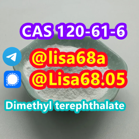 CAS 120-61-6 Dimethyl terephthalate C10H10O4