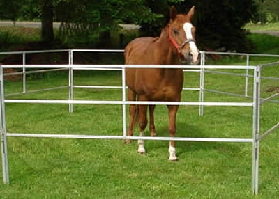 Portable Horse Panels