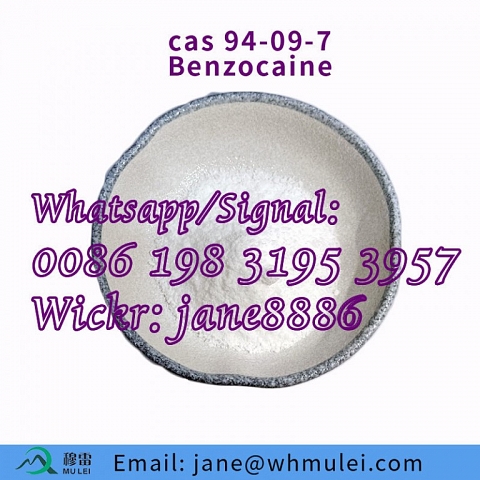 Local Anesthesic Drug Lidocaine Hydrochloride 73-78-9 /Procaine /Benzocaine