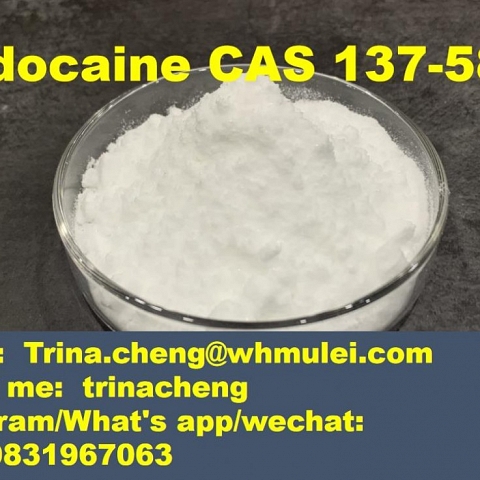 Shiny phenacetin powder crystal phenacetin supplier in China CAS 62-44-2