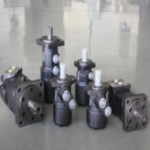 hydraulic motor