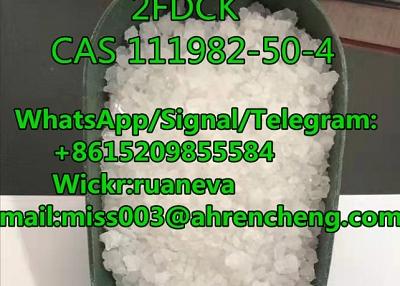 2-FDCK CAS CAS NO.111982-50-4