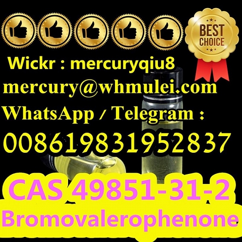 2-Bromo-1-phenyl-1-pentanone CAS 49851-31-2  Bromovalerophenone )