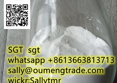 CAS 120-61-6 Dimethyl terephthalate/DMT with lowest price Tel/whatsapp:+86 13663813713 sally@oumengt